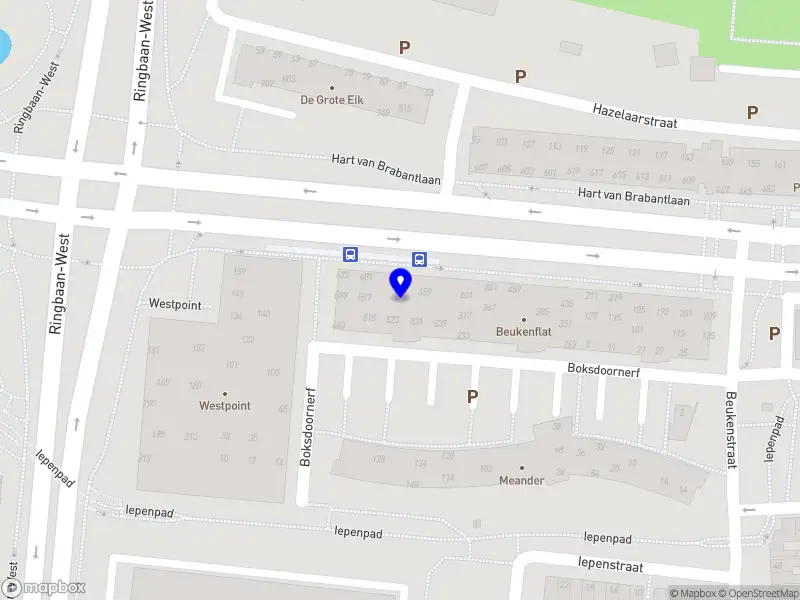 Shania Social Support