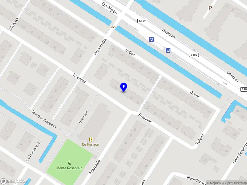 Plamena Bakalova Amsterdam