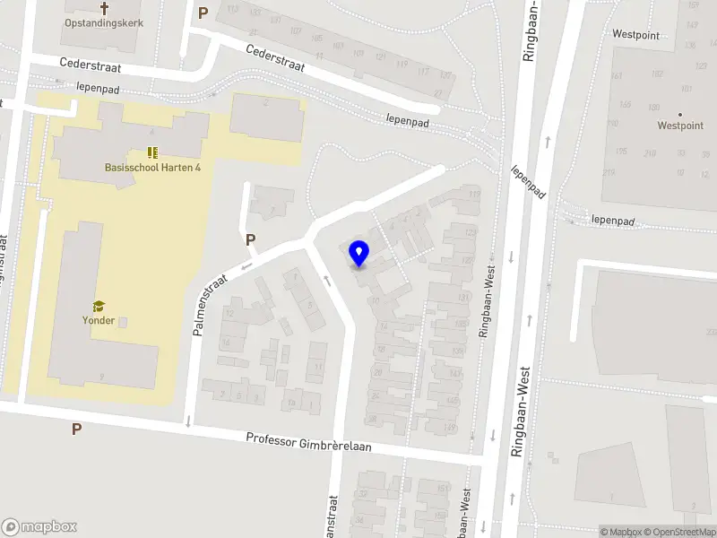 Nieuw bedrijf Studio Mim fotografie