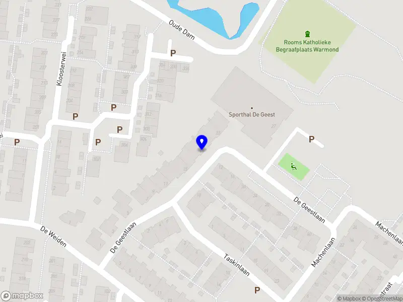 Remedial teaching Trix Gijsel