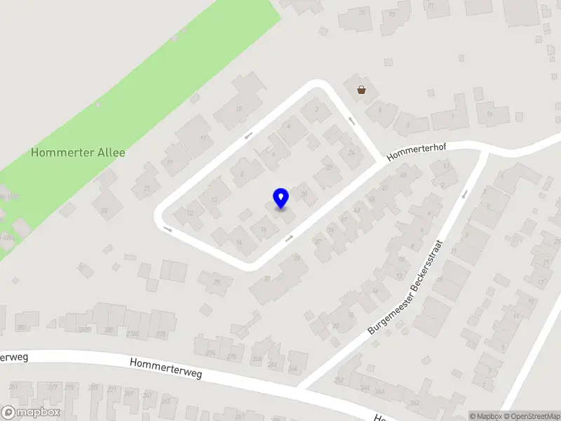 Nieuw bedrijf coach-Roberto