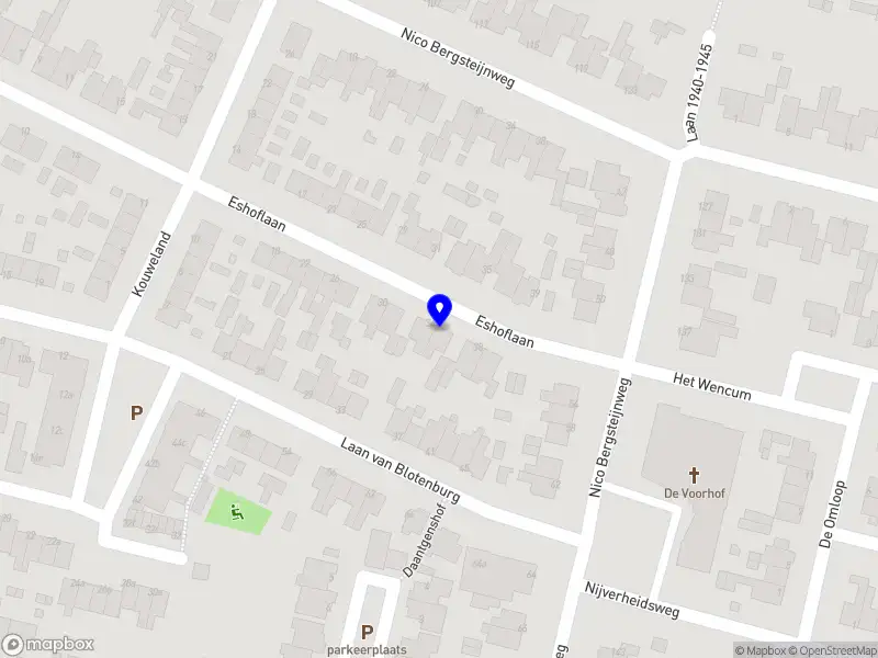 Nieuw bedrijf Chauffeuse Diana