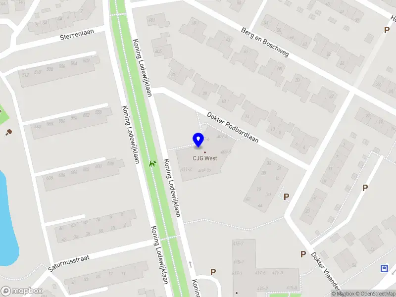 Astro and the Maine Coons