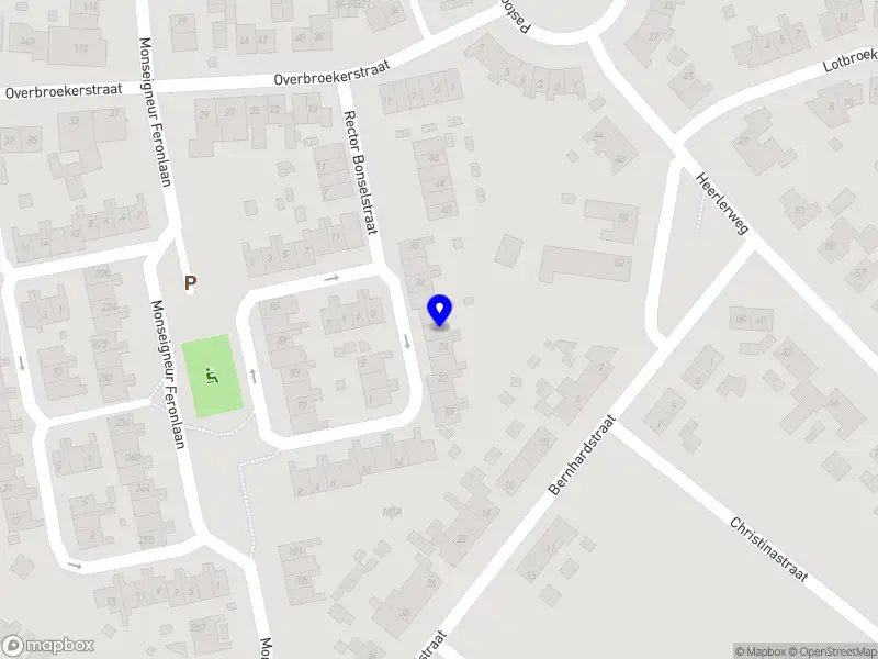 Carlito’s broertje