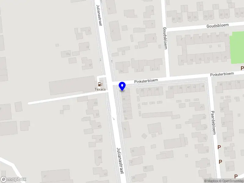 Nieuw bedrijf TriggerHive