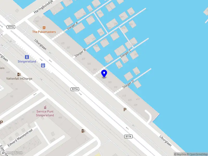 Nieuw bedrijf Geciane Junges Fine Art