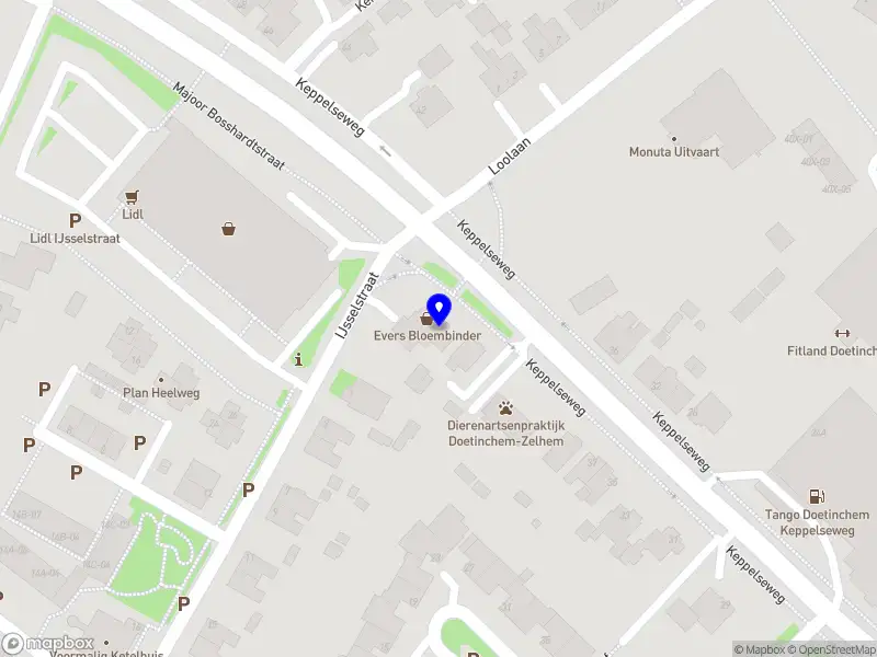 Gastouder Melissa de Roos Doetinchem