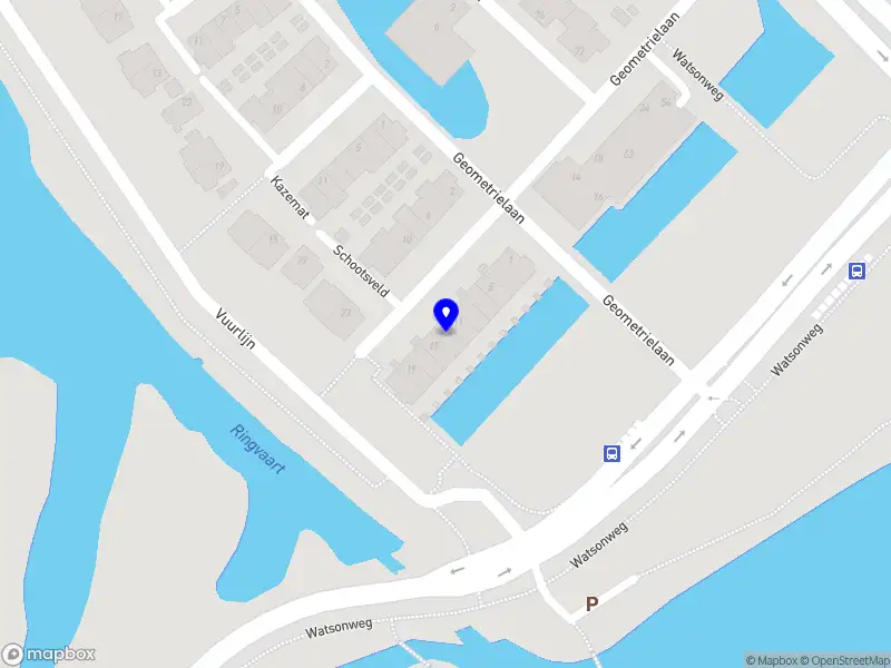 Catalin Custom Paint