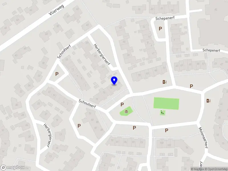 Dingemanse supervisie en leiderschap