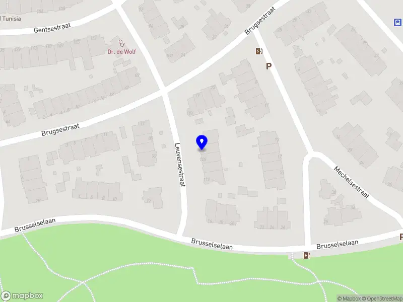 Jolien Werst Management