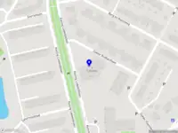 Astro and the Maine Coons