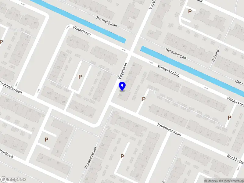 Nieuw bedrijf Scale Up Consultancy