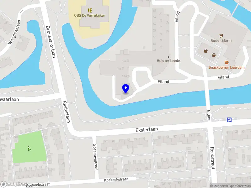 Aisenur Tursucu Coaching