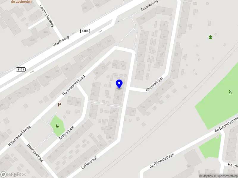 Modelling With Sarina