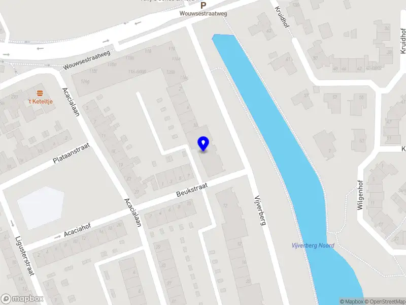 Silverstar Schoonmaak