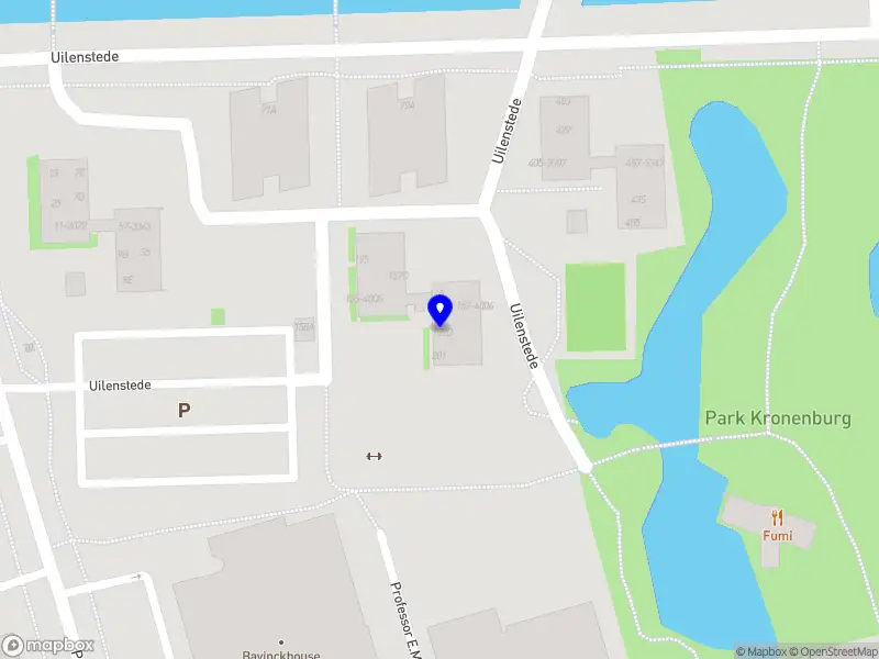 Emil Sales Amstelveen