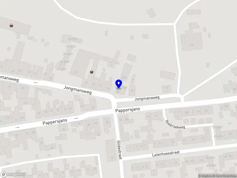 Budget Schoonmaak Viktoria