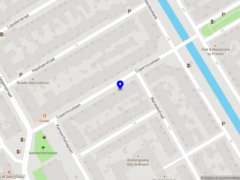 Hondenuitlaatservice Den Haag 's-Gravenhage