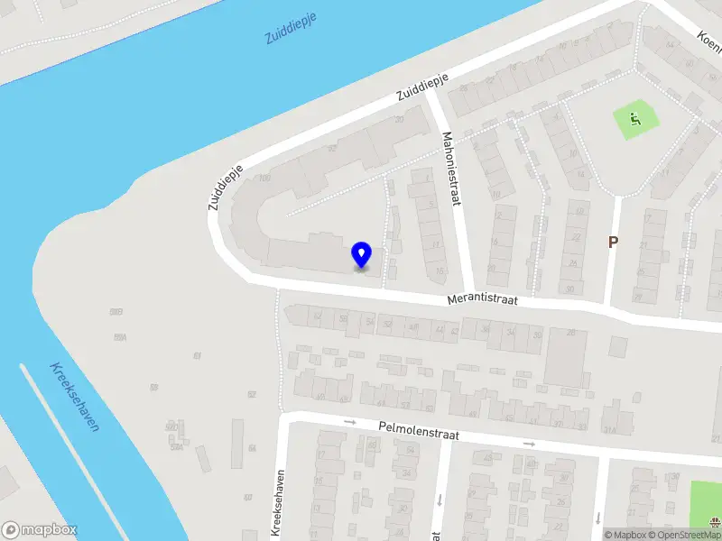 Nieuw bedrijf Saumya Coaching & Reiki