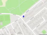 Danique’s Daily Assist