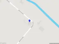 de harige viervoeters