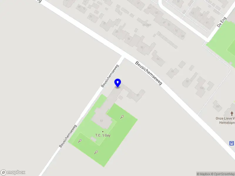 Carnavalsvereniging De Laetste Stuyver. 't Goy