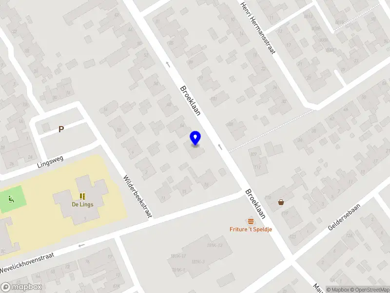 Vastelaovesvereiniging Boëte de Paort