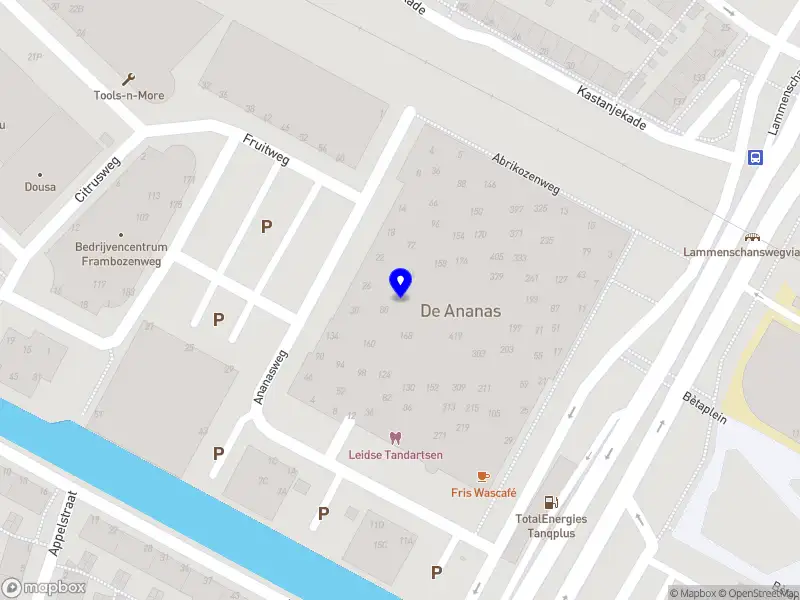 Stichting Kopaco Leiden