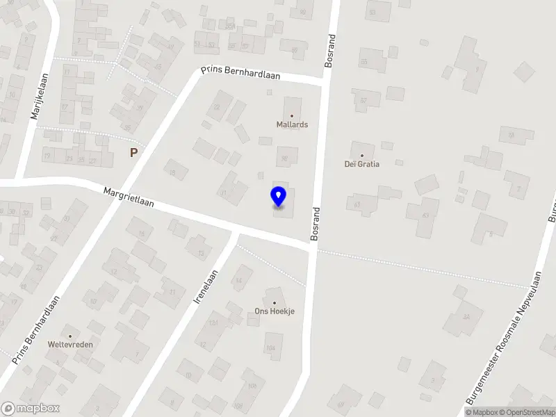 Nieuw bedrijf Milan Lueks