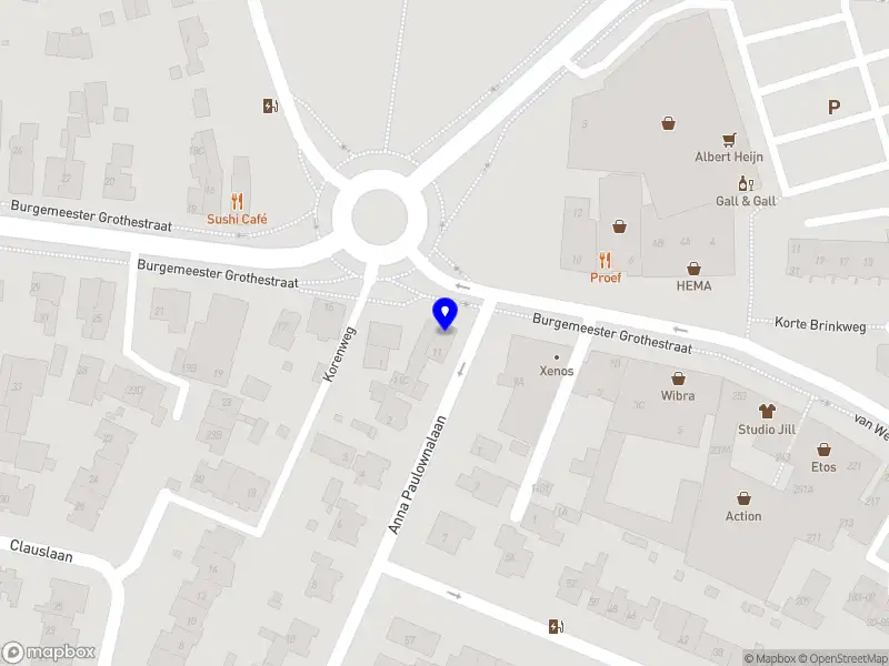 Practicus Plus Holding B.V. Soest