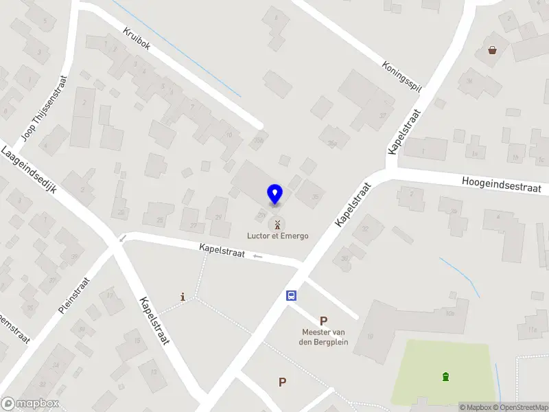 Osteopathie van Raaij