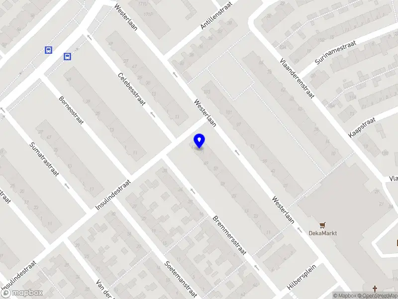 Taalreis met juf Ebru