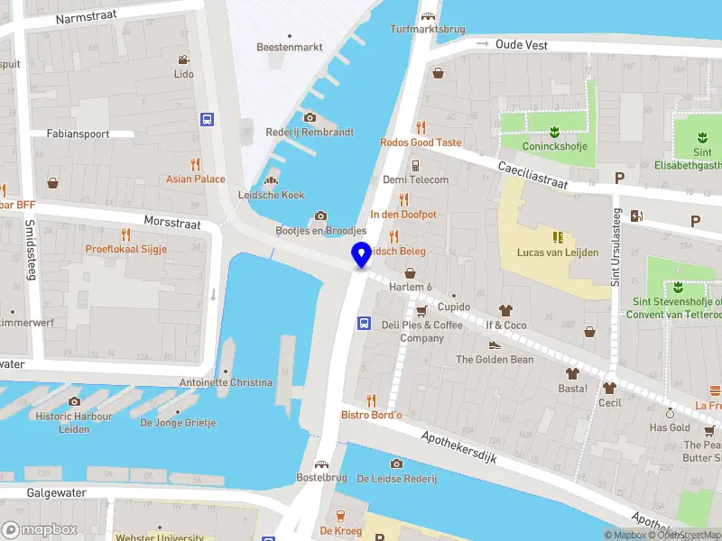 Kopje van Leiden B.V. Leiden