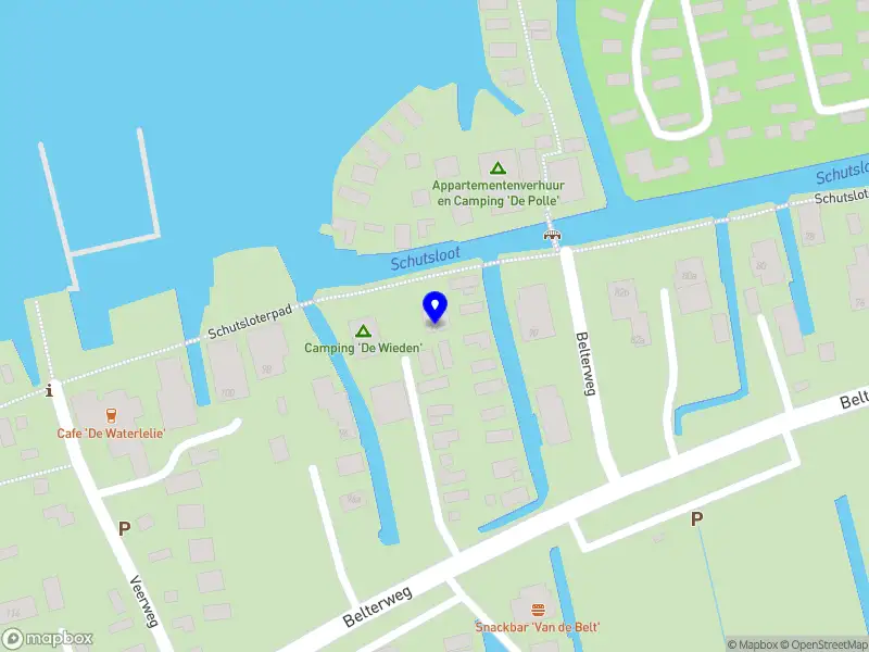 Sharesa's Punani Cleaning