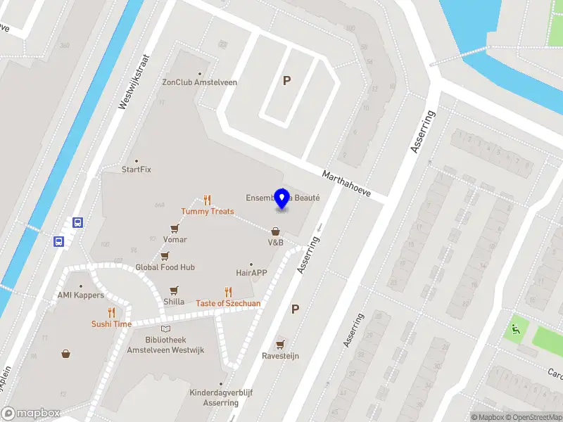 Lionfly Digital Amstelveen