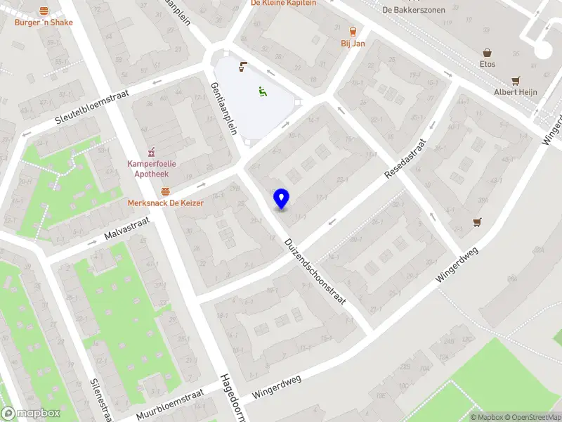 LOES Amsterdam