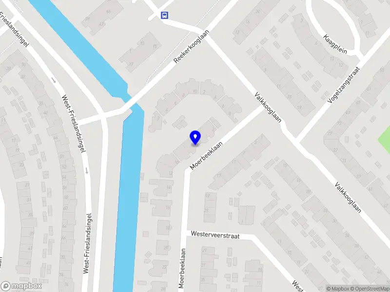 Nieuw bedrijf Magnolia bedrijfsadvies