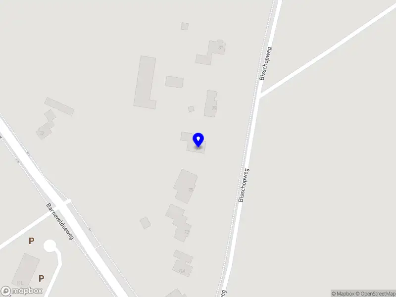 A. Buijtenhuis Dienstverlening