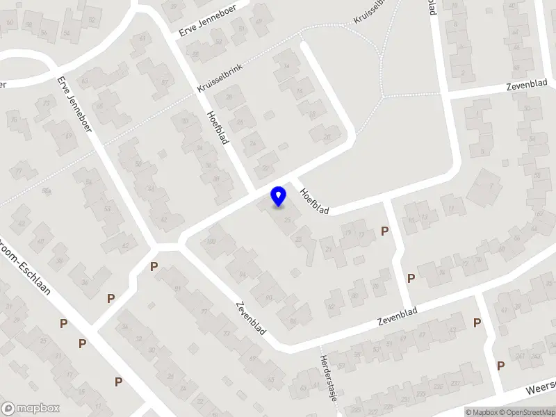 IpV flight instruction