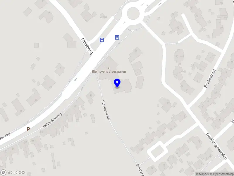 Nieuw bedrijf Bleijlevens Business Units