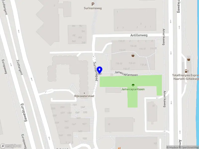 Virtual Silvr - Labs Virtual