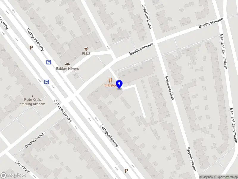 Nieuw bedrijf Chaira’s Equine Services