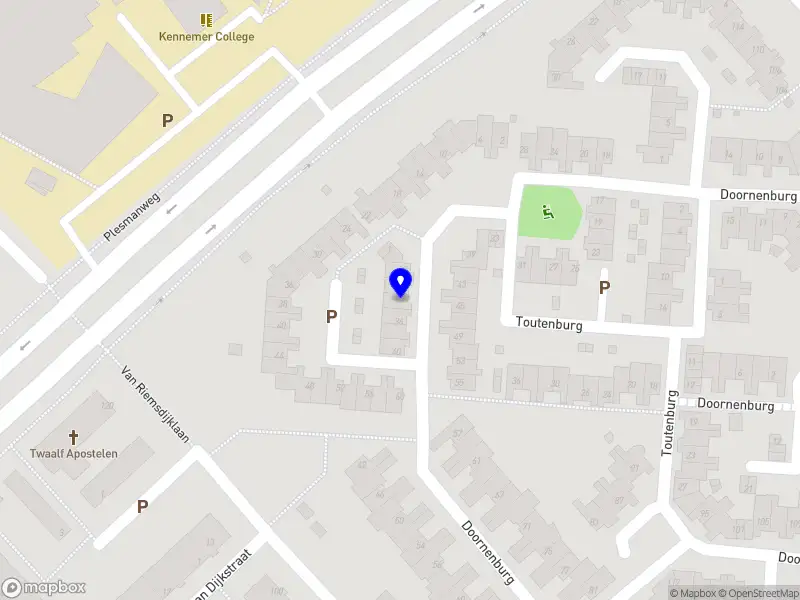 Suzanne's Human Desgin