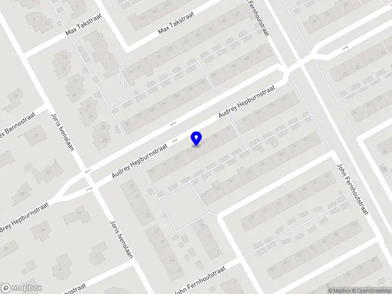 Nieuw bedrijf AurLeo Party Decorations