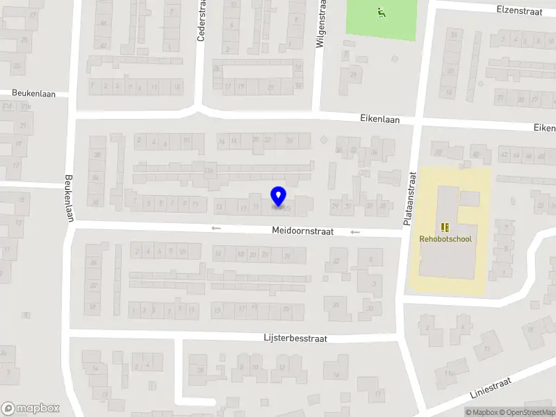 Rijschool Willeke van Ewijk