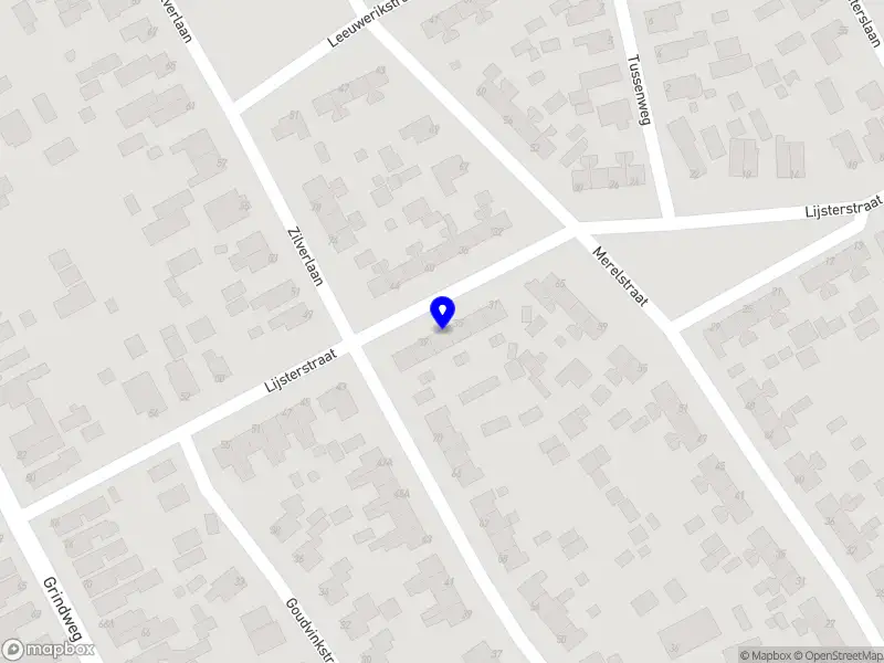 Nieuw bedrijf Pawsitive Vibes