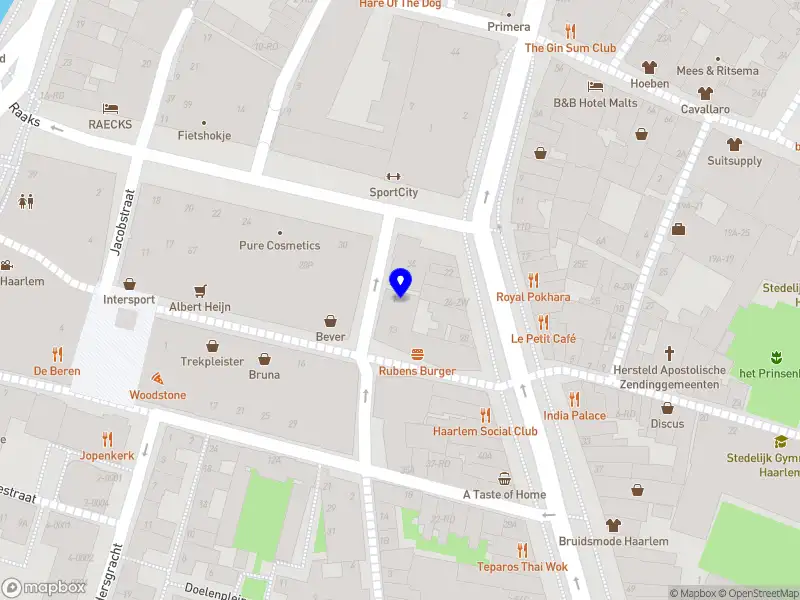 Van Leeuwen Digital Haarlem