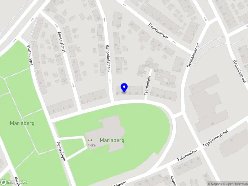 Merel Language solutions Maastricht