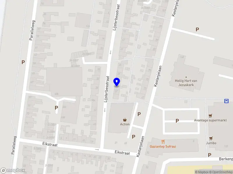Demirkaynak Security Bergen op Zoom