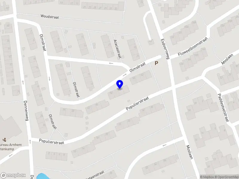 Wiskundecoach Martine